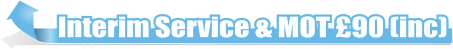 Interim Service & MOT 90 (inc)